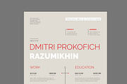 Clean and Minimalist Resume Template, a Resume Template by MightyDesign (Thumbnail 2 of 8)