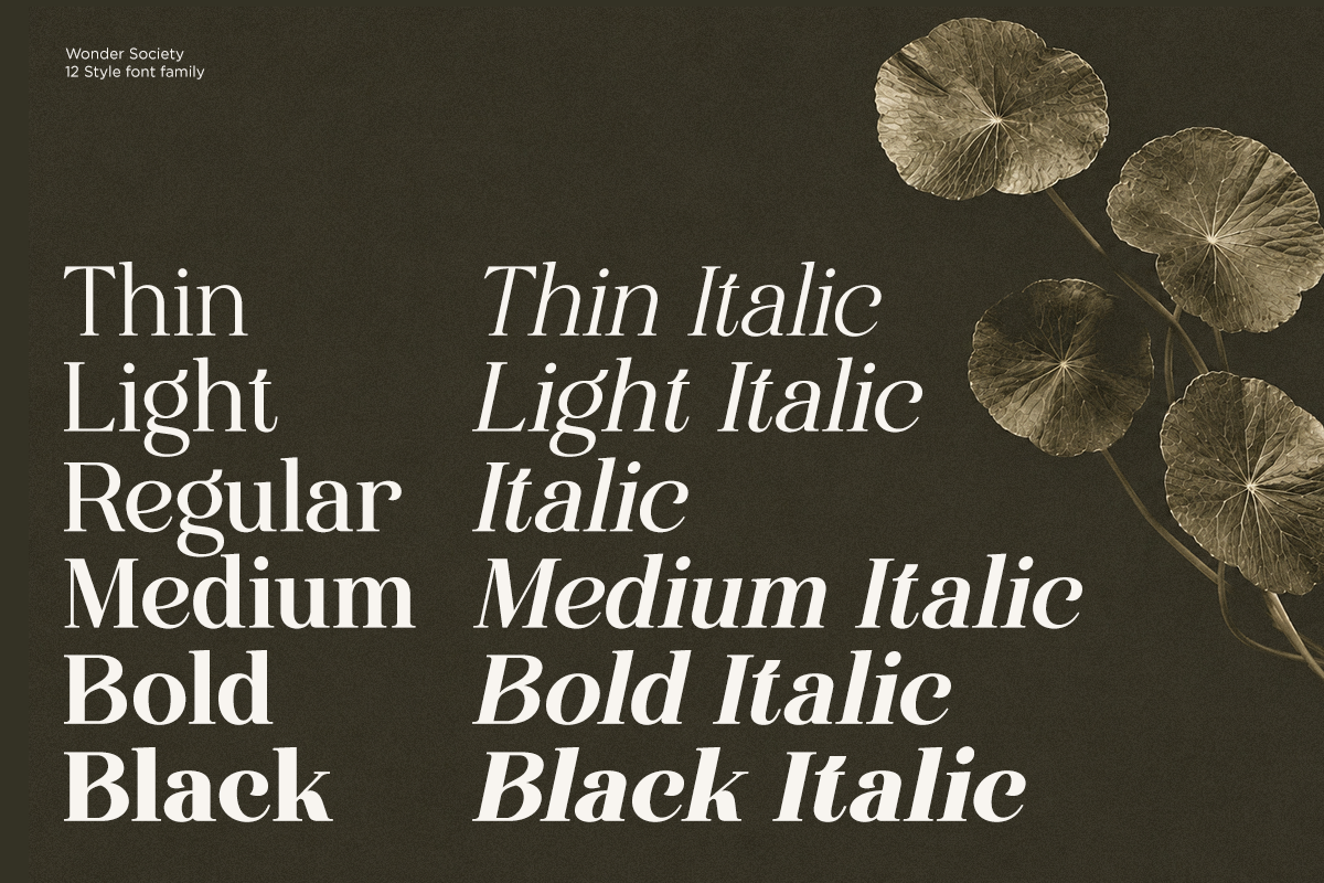 Wonder Society - Family Modern Serif, a Serif Font by Font Liner (Photo 5 of 10)