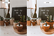 Lightroom Presets for Product & Food, an Action Add-On by Best Lightroom Presets (Thumbnail 16 of 31)