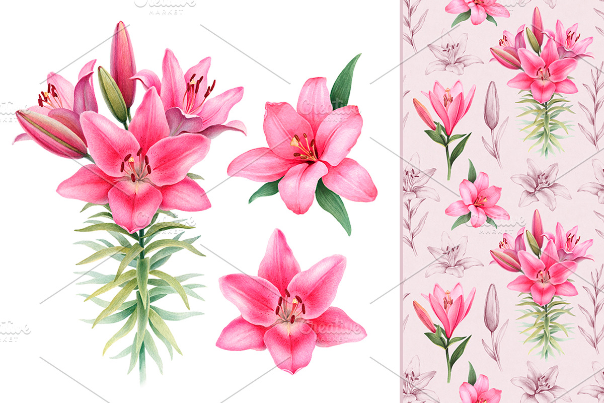 Illustrations of Lilies, a Texture Illustration by Sundra (Photo 1 of 10)