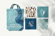 Ocean Shells Illustration, an Object Illustration by KetteCreate (Thumbnail 3 of 17)