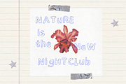Nostalgia Aesthetic Handwritten Font, a Handwritten Font by Studio C (Thumbnail 3 of 6)