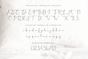 Morellin Elegant Script, a Script Font by Say Studio (Thumbnail 12 of 16)