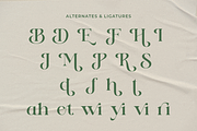 Eden Meadow - Stylish Serif Font, a Serif Font by RagamKata (Thumbnail 9 of 11)