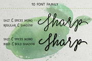 50% OFF Salt & Spices Mono, a Script Font by Fontforecast (Thumbnail 4 of 13)