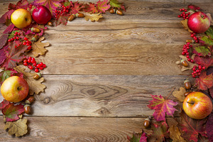 Frame of apples, acorns, berries
