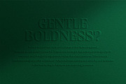 Belcino — Editorial Serif Font, a Serif Font by Almeera Std (Thumbnail 5 of 10)