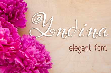 Yndina elegant font