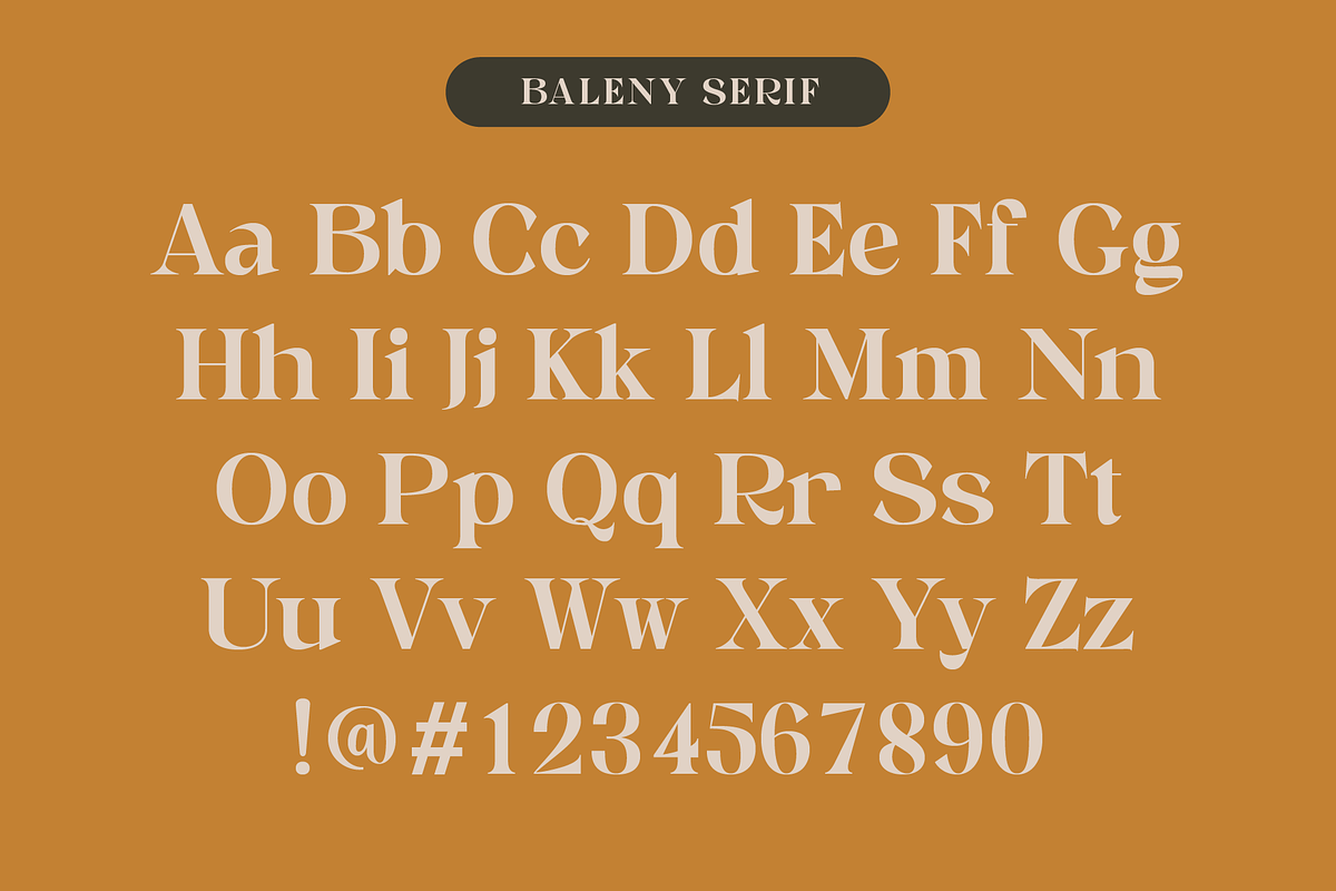 Baleny Elegant Font Duo, a Serif Font by Craft Supply Co. (Photo 11 of 12)