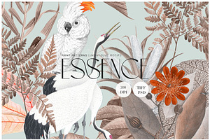 Essence, Exquisite Print Design!