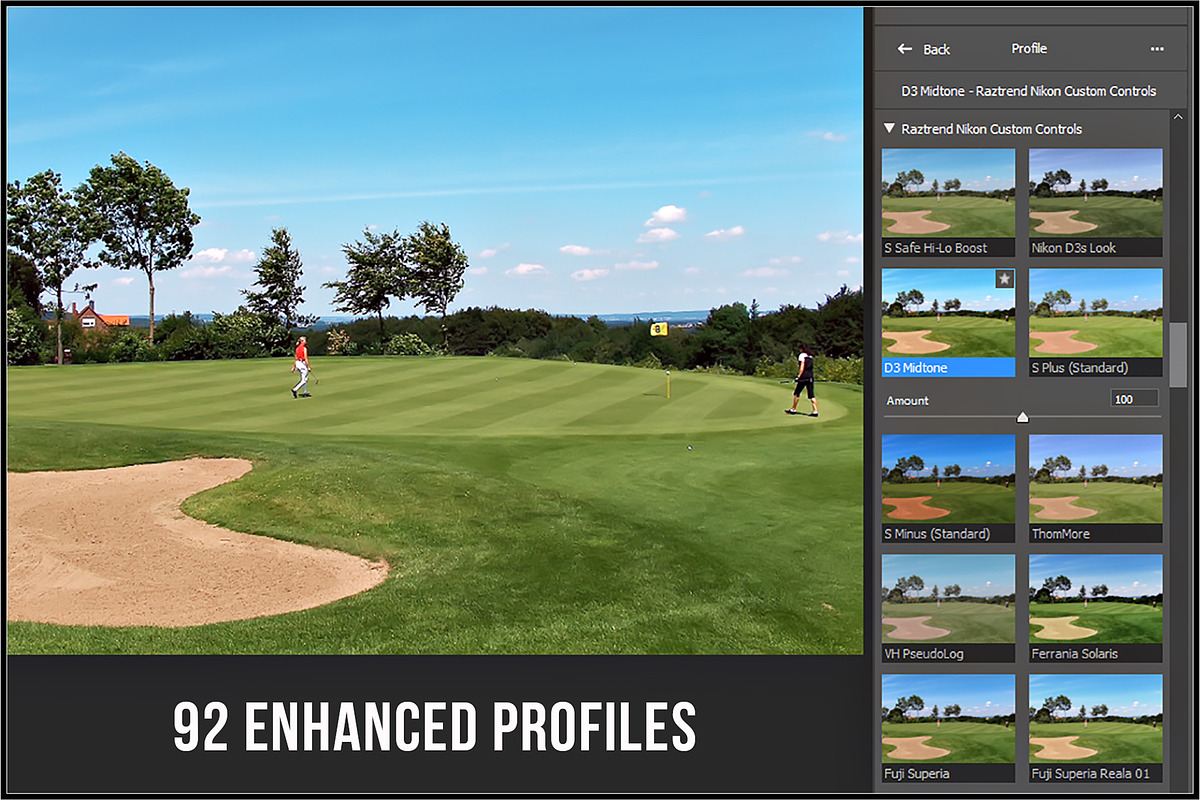 Nikon Custom Picture Controls preview 2