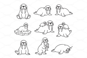 Vector set of walrus characters, an Animal Illustration by yod67