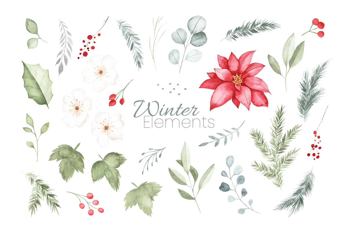 Winter Botanical Watercolor Set, a Decorative Illustration by Liliia Polos Illustration (Photo 9 of 10)