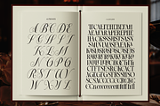 Dh Alista Aghni - 7 Serif Family, a Serif Font by Dharmas Foundry (Thumbnail 16 of 16)