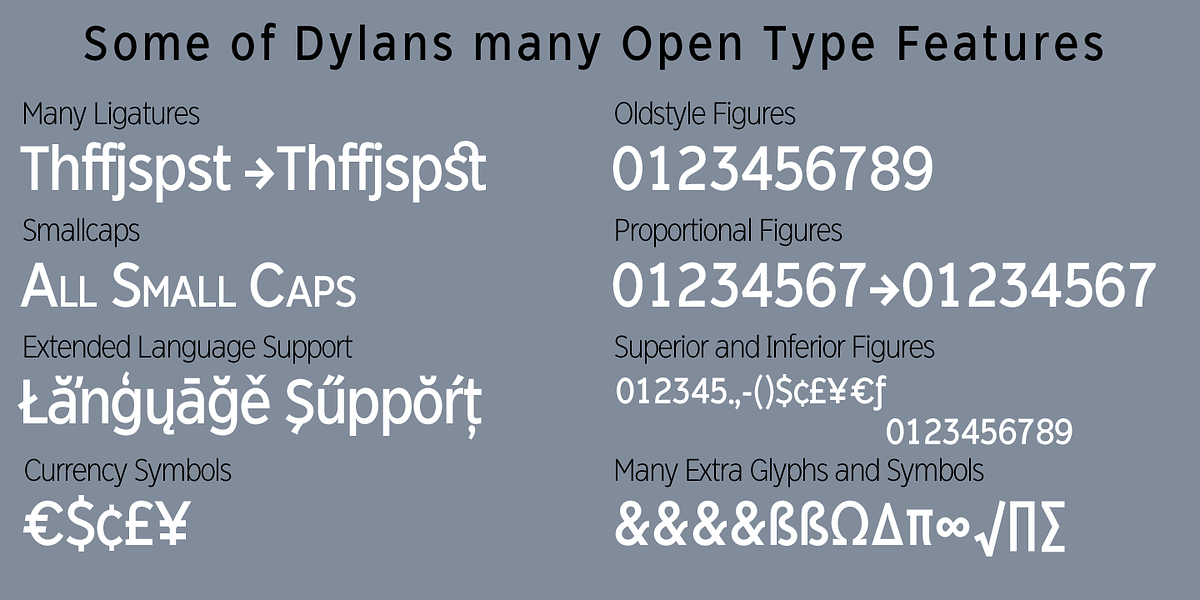 Dylan Condensed, a Sans Serif Font by Wiescher-Design (Photo 5 of 6)