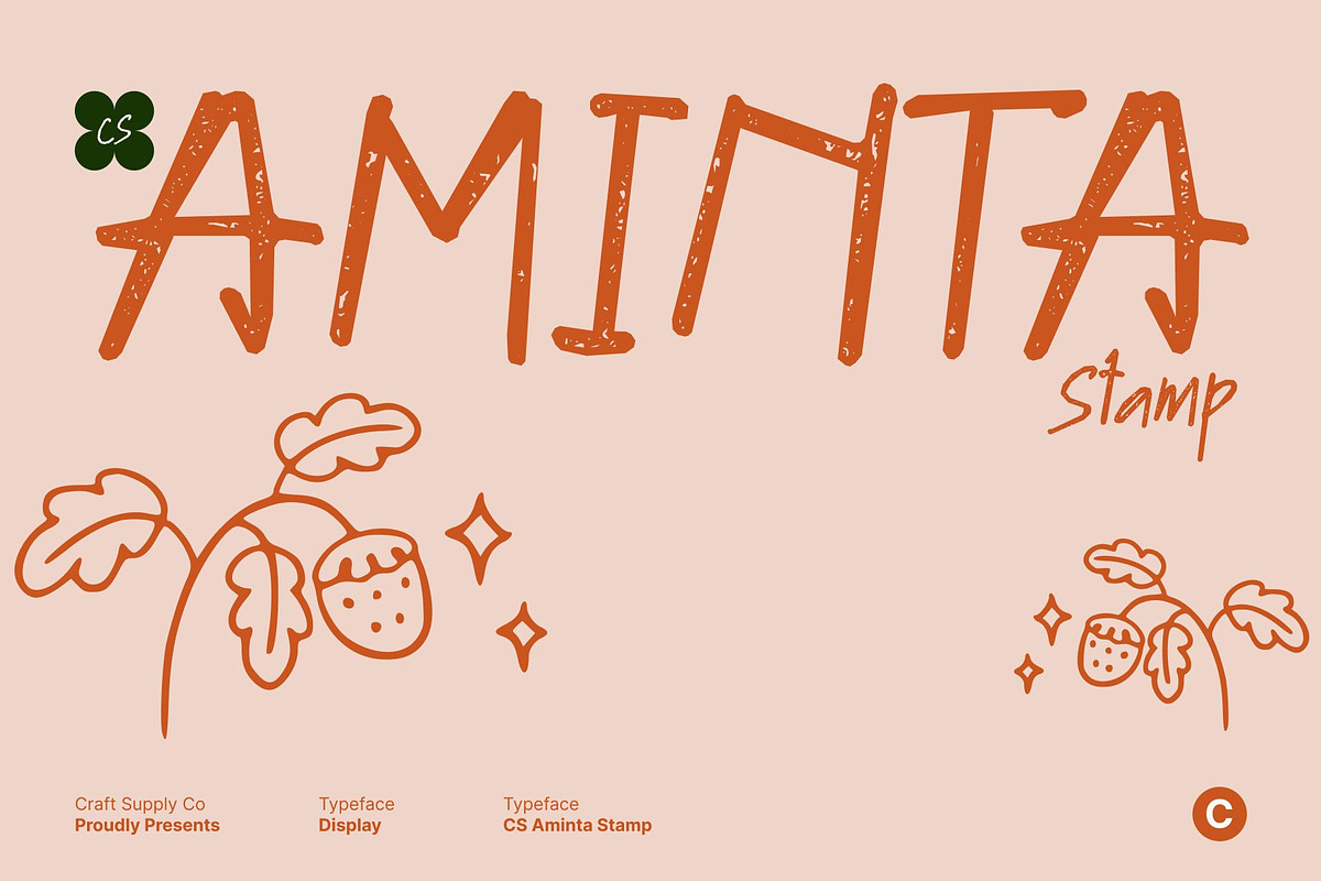 CS Aminta Stamp, a Handwritten Font by Craft Supply Co. (Photo 1 of 8)
