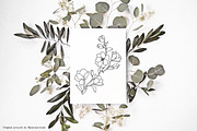 Magnolia Flower Vector Illustration, an Illustration by IllustratorAnnie (Thumbnail 5 of 7)