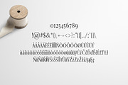 Earwyn Serif 3 Font Family Pack, a Serif Font by Creativetacos (Thumbnail 4 of 5)
