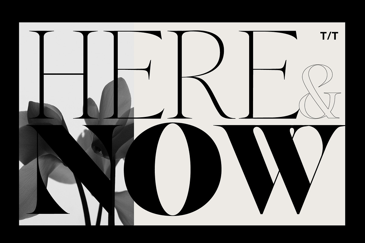 New Tropic - 8 Style Font Family, a Serif Font by Tropical Type (Photo 10 of 15)