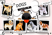 Watercolor Dogs - Collection 6 of 12, an Animal Illustration by Dneprstock (Thumbnail 1 of 4)