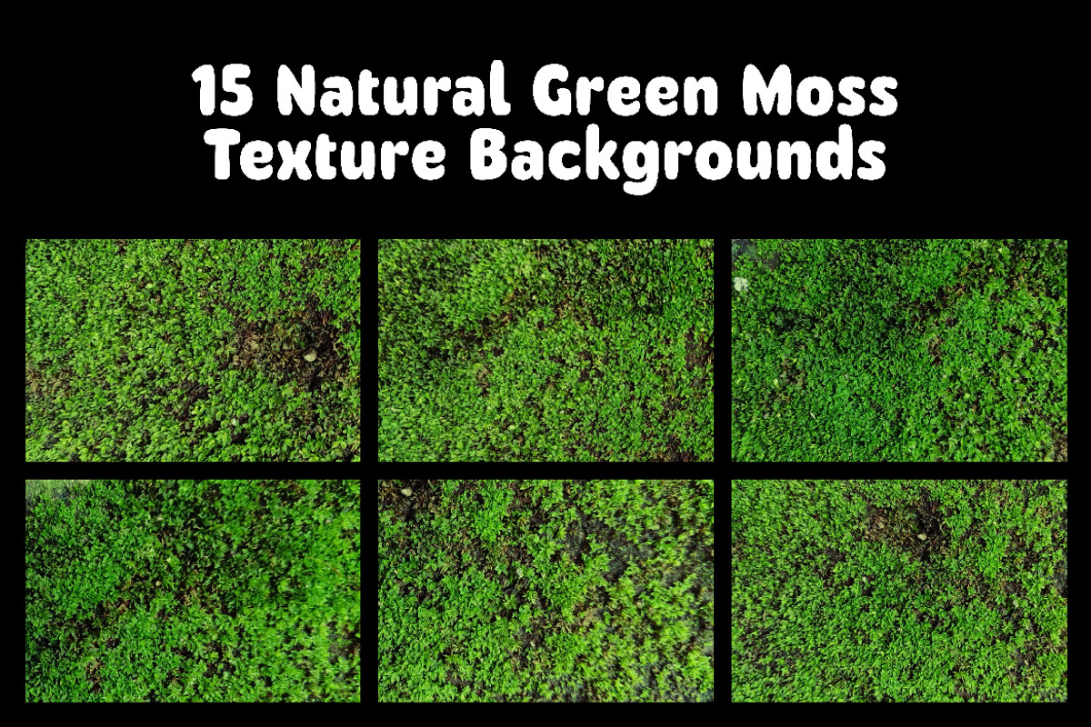 Natural Green Moss Texture Backgroun, a Background Graphic by Pitchlook.Studio (Photo 2 of 3)