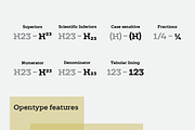 TT Slabs, a Slab Serif Font by TypeType (Thumbnail 2 of 5)