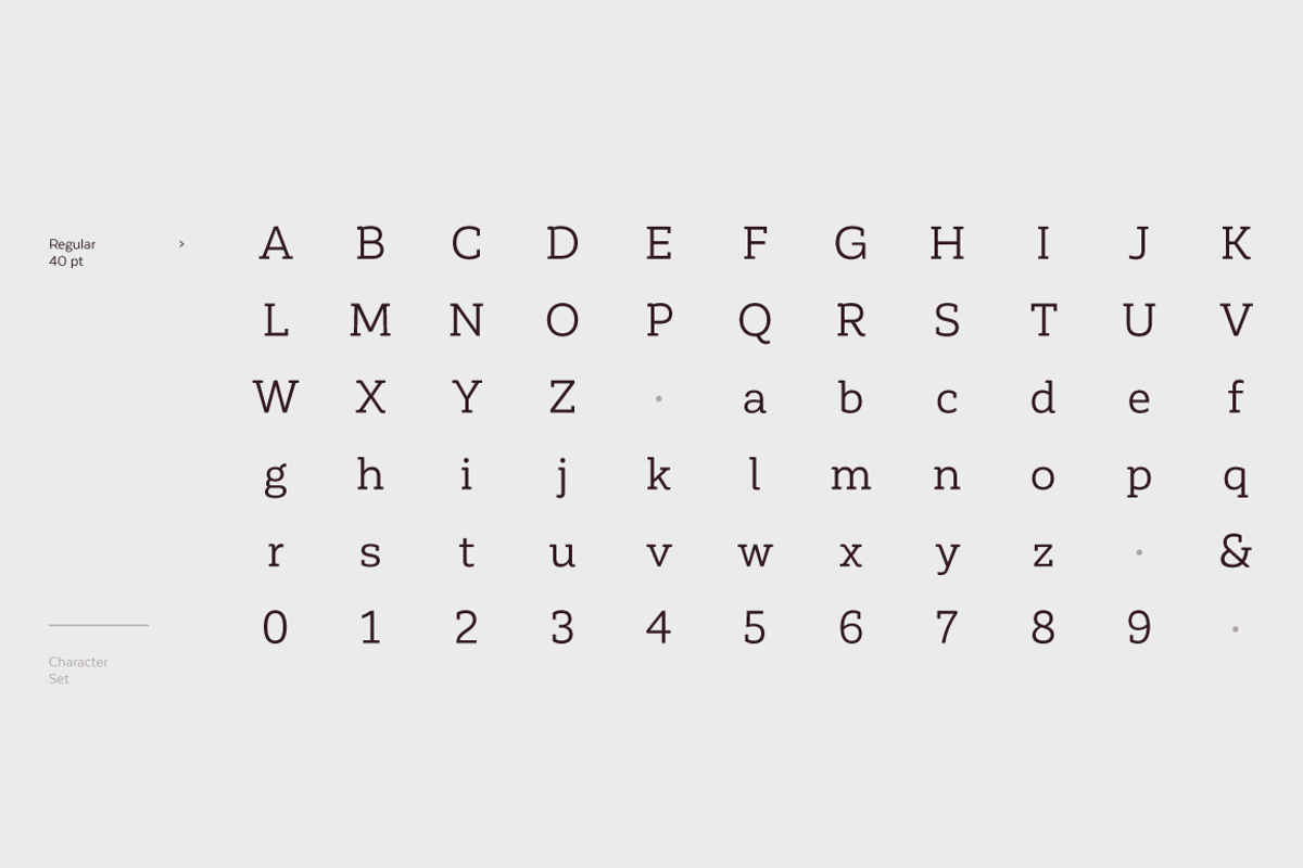 Corporative Slab - Family 50% off, a Slab Serif Font by Latinotype (Photo 15 of 15)