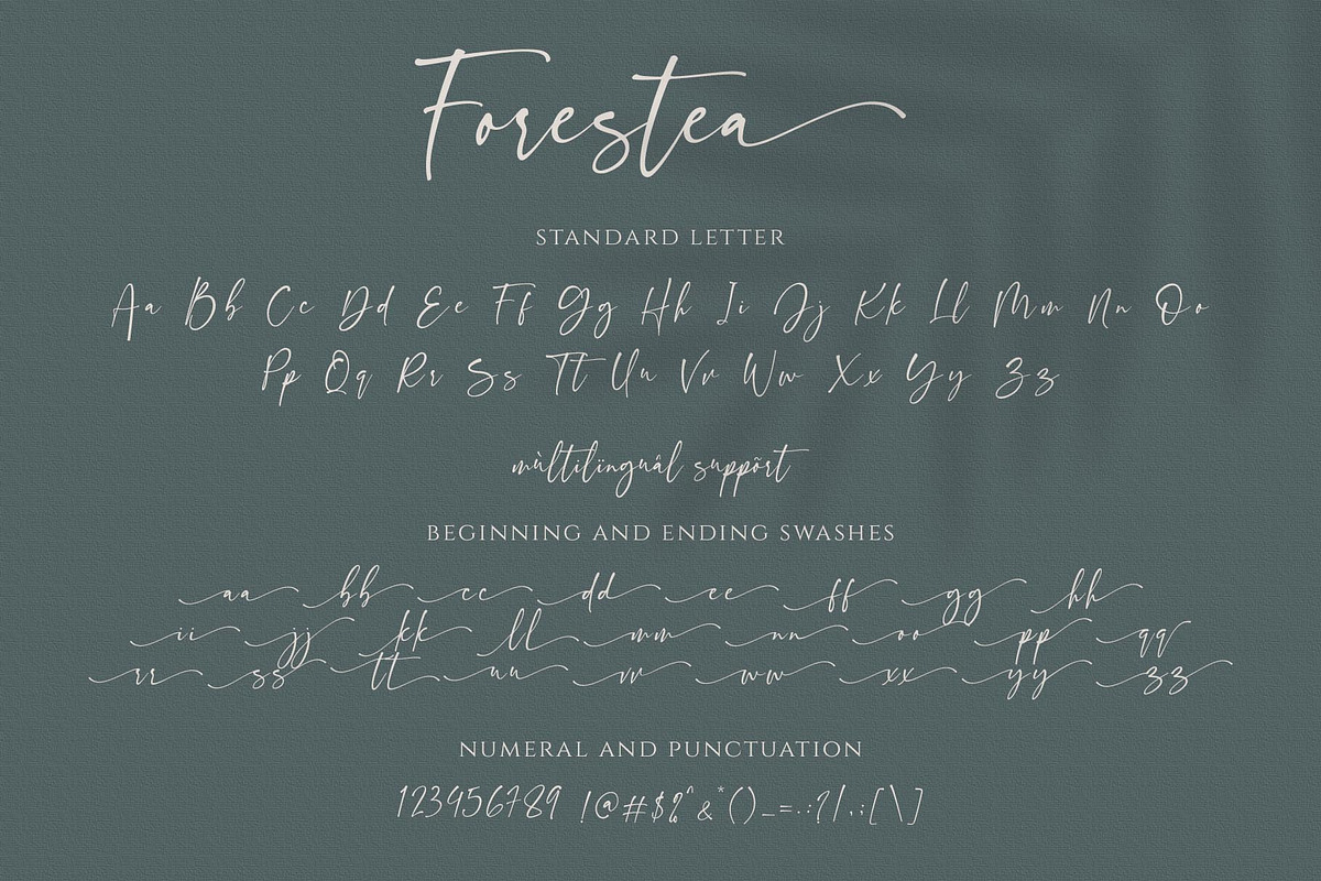 Forestea - Classy Script, a Script Font by BrandSemut (Photo 13 of 14)
