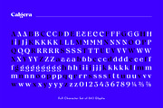 Calgera, a Serif Font by TRF Fonts (Thumbnail 7 of 16)