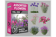 72 Assorted Flowers Photo Overlays, a Nature Photo by KenScape (Thumbnail 1 of 3)