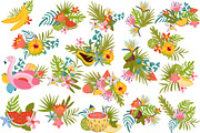 Summer time, Tropical clipart, a Decorative Illustration by Usis (Thumbnail 4 of 13)