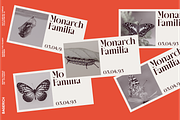 NEIMA, a Serif Font by Bagerich Type Foundry (Thumbnail 13 of 15)