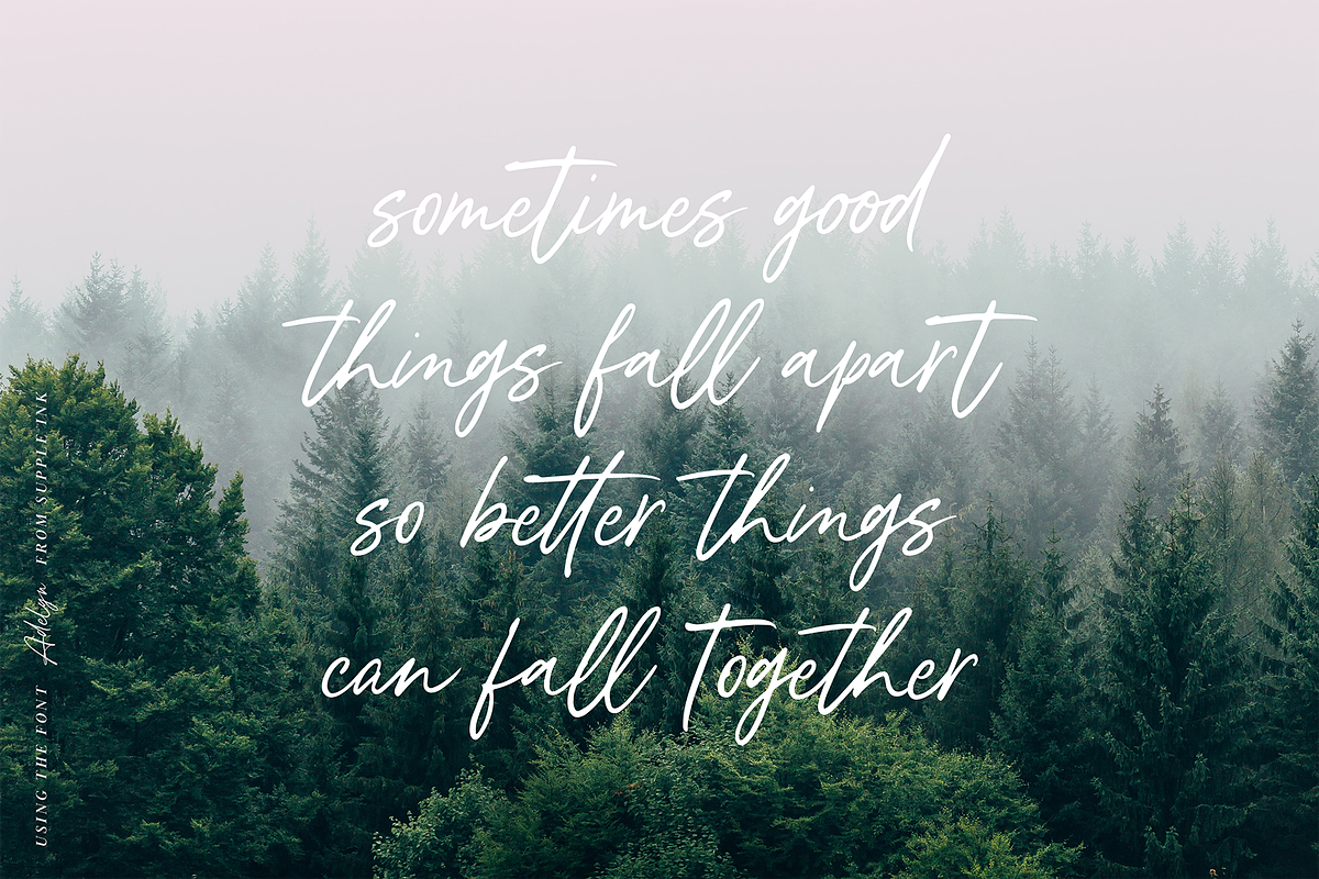Adelyn Script Font, a Script Font by Freshly Made Type (Photo 11 of 13)