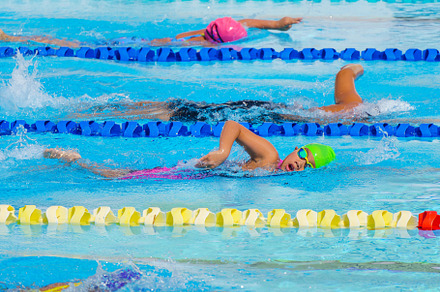 Swimmer child swims freestyle swimming style in a race swimming