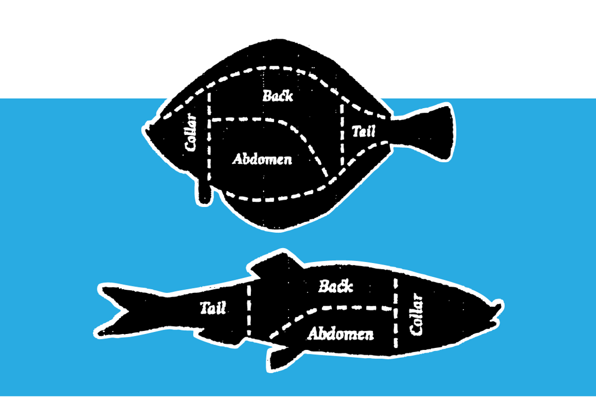 Farm Meat and Fish Cuts, a Food Illustration by Marmalade Moon (Photo 3 of 5)