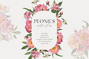 Peony watercolor clipart & patterns, a Decorative Illustration by Diana Askarova Art (Thumbnail 1 of 11)