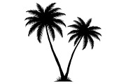 Tropical Palm Tree Bundle, an Illustration by BIPLOB EXPERT (Thumbnail 8 of 21)