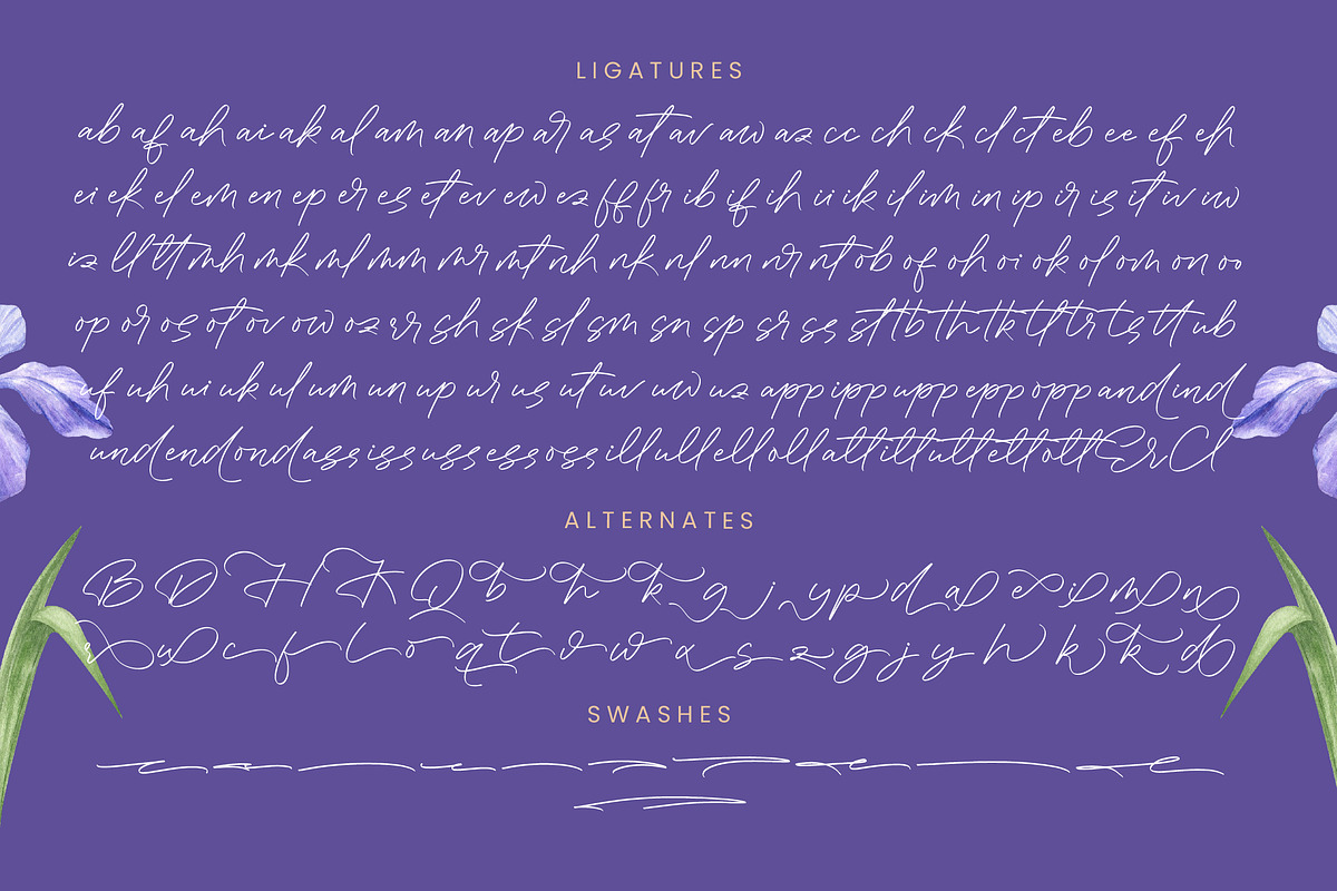 Gafisha Lindiaki Stylish Handwritten, a Script Font by stylishtype.co (Photo 18 of 19)