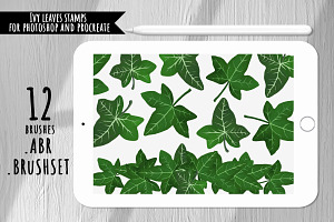 Ivy Leaves Brushes