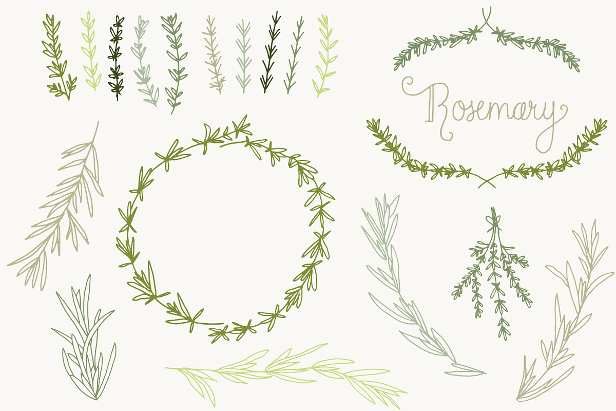 Rosemary Clip Art & Vectors preview 3