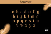 Danderain, a Serif Font by Rishsketch (Thumbnail 9 of 13)