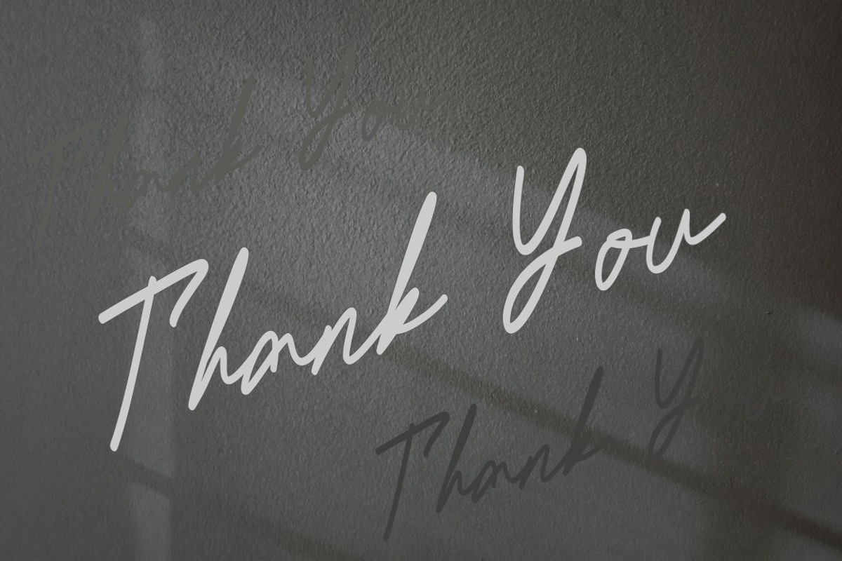 Delimis Script Font, a Script Font by JNJ Studio (Photo 10 of 10)