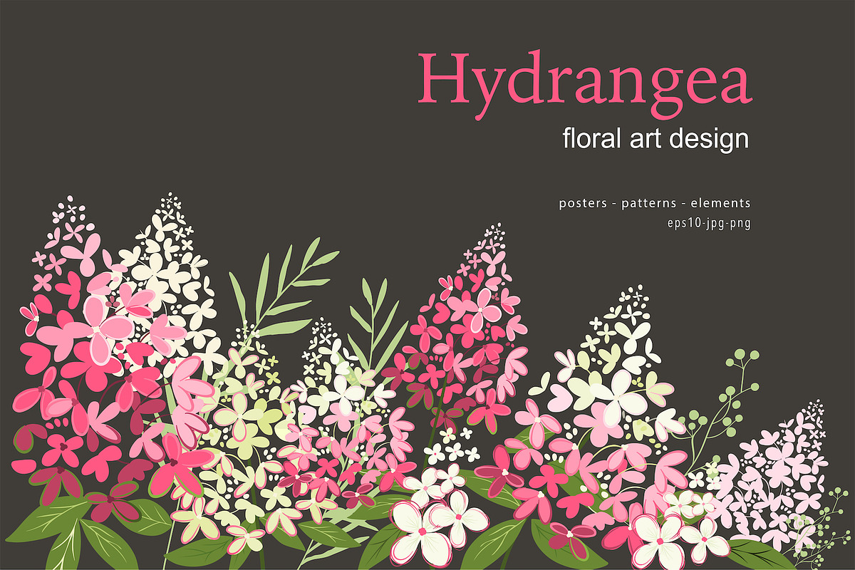 Hydrangea Floral art design, an Object Graphic by yana.tasha (Photo 1 of 9)