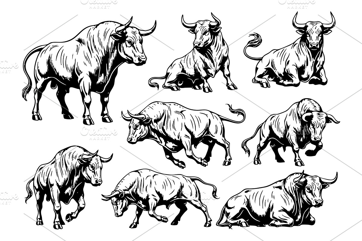 Vector of powerful bulls. Wildlife, an Animal Illustration by yod67