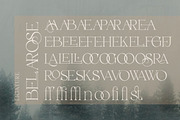 Belarose - Modern Elegant Serif, a Serif Font by Qweera Studio (Thumbnail 9 of 12)