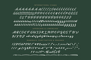 Charity Thomas Bold Calligraphy, a Script Font by stylishtype.co (Thumbnail 18 of 20)