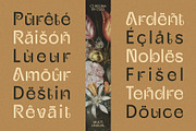 CS Regina – Art Nouveau Font, a Sans Serif Font by Craft Supply Co. (Thumbnail 8 of 8)