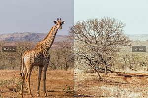 Safari Lightroom Presets Pack