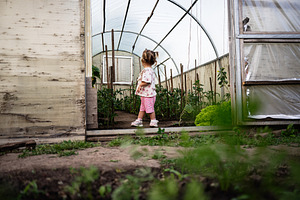 Young child in greenhouse exploring plants and enjoying natural surroundings, a Person Photo by AS photostudio