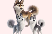 Husky Clipart PNG Bundle, a Graphic by M9 Design (Thumbnail 9 of 11)